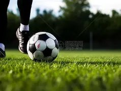 全运资格赛,即将开启,上海女排引,新葡京,新葡京app,新葡京娱乐,新普京赌场