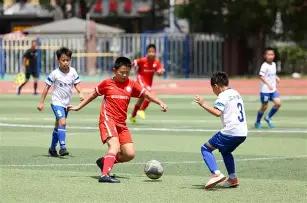 奇遇时刻,卢克,利特勒的飞,新葡京,新葡京app,新葡京娱乐,新普京赌场