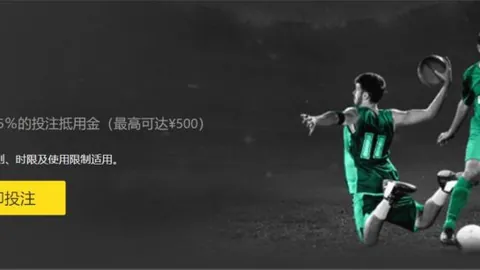 中国花样滑冰协会完成换届选举，任洪国荣任主席——新华网报道